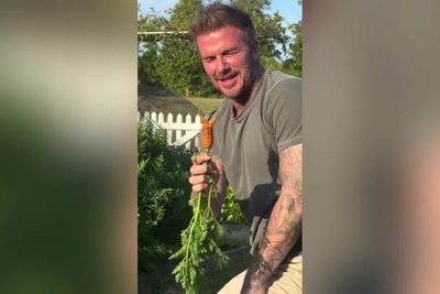 David Beckham has Victoria in stitches over his wonky carrot