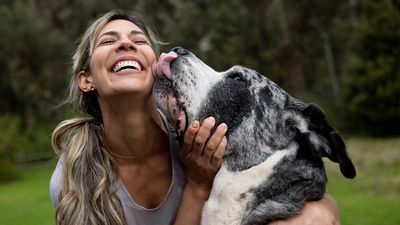 Survey reveals more than half of pet owners don’t consider the size of a pet before purchase
