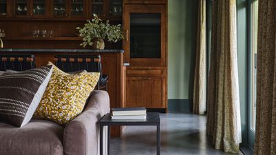 Experts reveal the 2 ways your dehumidifier may be harming your health – and the simple steps to prevent them