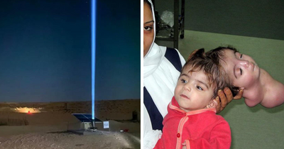 50 “Fascinating AF” Facts To Keep You Entertained For A While
