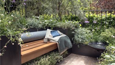 How to transform rooftops into wild garden escapes – a landscape design duo reveal the key to achieving a natural landscape in an urban space