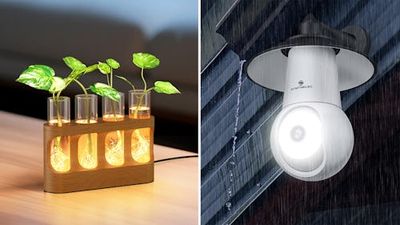 60 Weird, Amazeballs Things We're Loving on Amazon Right Now