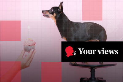 Voices: ‘Worth every penny’ or ‘a bit OTT’? Readers debate the rise of expensive dog birthday parties