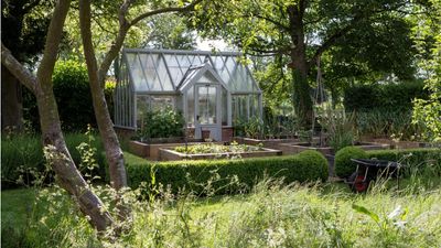 Gardeners urged to save and reuse bubble wrap – it will save you hundreds of dollars on greenhouse insulation and energy use this winter