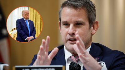 ‘Good call by the President’: Adam Kinzinger was winning some respect but makes a hard turn back to Donald Trump worship