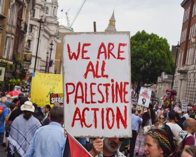 RAF base vandalism not enough to justify Palestine Action ban, says ex-minister