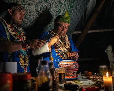 Amazon Indigenous peoples can benefit from ‘ayahuasca tourism’
