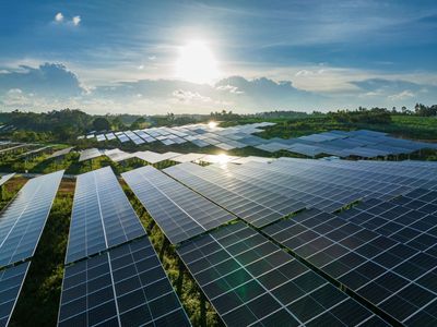 Looking to Gamble on Hard-Hit Solar Stocks? This Is the Top-Rated Ticker Now.