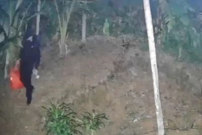 Phuket burglar hits four luxury villas in one night