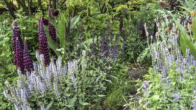 These 12 plants are totally overrated, say gardening experts