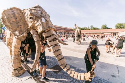 ‘Get ready to sweat!’ The animal mega-marathon stampeding from the Congo to the Arctic