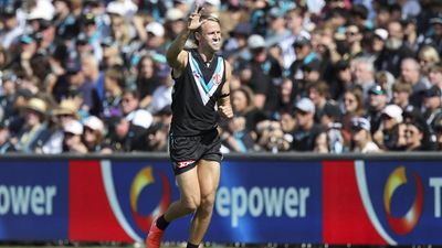 Port recruit on comeback trail to solve forward woes