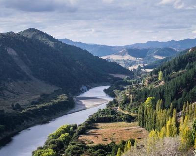 Rich Americans flock to apply for New Zealand’s ‘golden visas’ after rules relaxed
