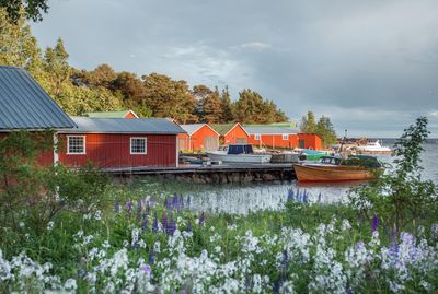 Travels in Moominland: summer in Tove Jansson’s Finland