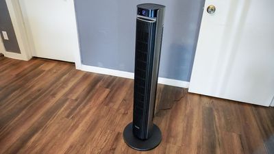 I bought a smart fan to beat the heat — and I never thought I’d have this much fun controlling a fan from my phone