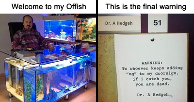 73 Hilarious Pun Memes That Prove Wordplay Is The Best Kind Of Comedy