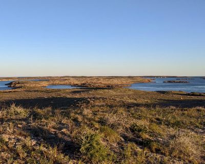 Plutonium levels at nuclear test site in WA up to 4,500 times higher than rest of coast, study finds