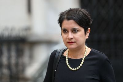Banning Palestine Action may be ‘escalation too far’, says Labour peer