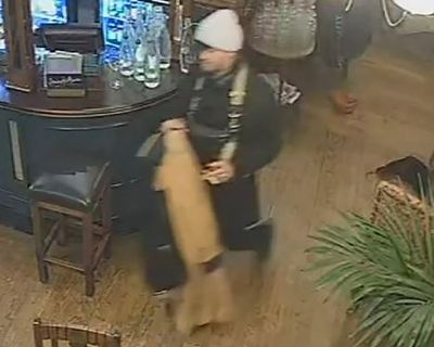 Metropolitan police appeal for help to recover 285-year-old violin worth £150,000