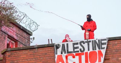 What happens if Palestine Action is banned under terrorism laws?