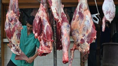 French health chiefs identify E coli as cause of major food poisoning outbreak
