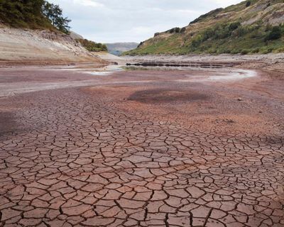 The UK is getting drier. Could reusing greywater help?