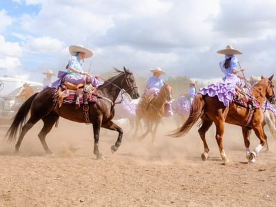 Dancing on Horseback