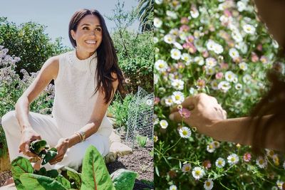 Meghan Markle's New Apricot Spread Mocked by US Champion Jam Maker as a 'Runny Failure'