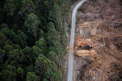 Tasmanian leaders struggle with a basic fact: environment laws should protect the environment