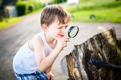 5 Easy Ways to Spark Your Child’s Curiosity (Without Driving You Nuts)