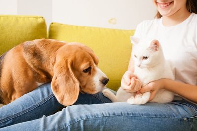 10 Celebrity Pet Names You’ll Want to Steal