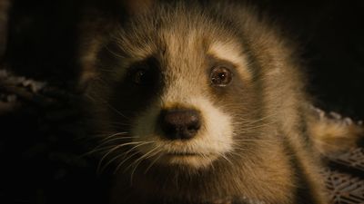 DC boss James Gunn says he made sure Marvel scripts featuring Rocket "always made sense" – as sometimes they "didn't match" what he felt about the character