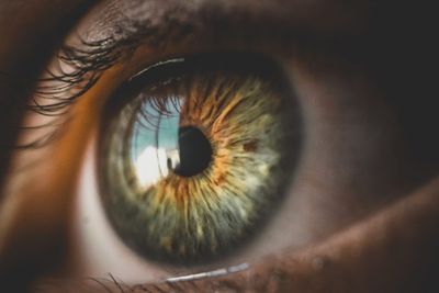Ocugen (OCGN) Shares Slide Following Merger Agreement: What's Going On?