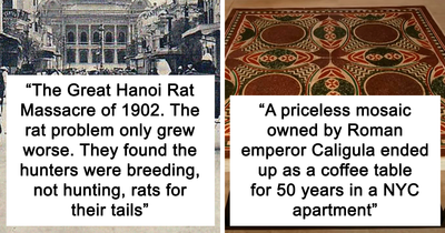 42 New ‘Today I Learned’ Facts That Prove It’s Never Too Late To Learn Something New