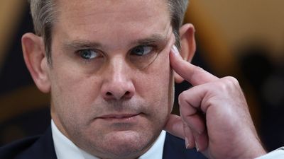 ‘I feel super safe’: Adam Kinzinger loses it after Donald Trump hires lawn boy to fight counterterrorism