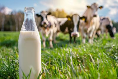 6 Everyday Foods That Could Be Making Your Allergies Worse