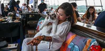 It’s time to face an uncomfortable truth: maybe our pampered pets would be better off without us