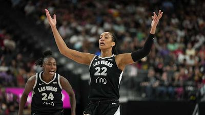 Aces’ A’ja Wilson Got Trolled by Bam Adebayo for Her Zebra-Themed Game Day Fit