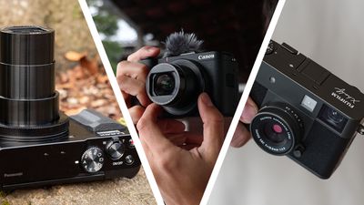 Is the compact camera you want out of stock? Here are 3 of the best models I've tested this year, and they're all available now