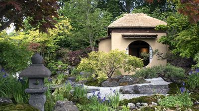 I'm a professional gardener, and this 1 natural ingredient is essential to help Japanese maples thrive in summer – and will give you vibrant fall color, too