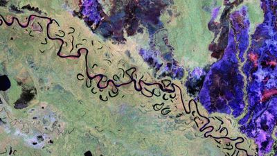 'Nothing short of spectacular': ESA's Biomass satellite releases 1st views of Earth from orbit (photos)