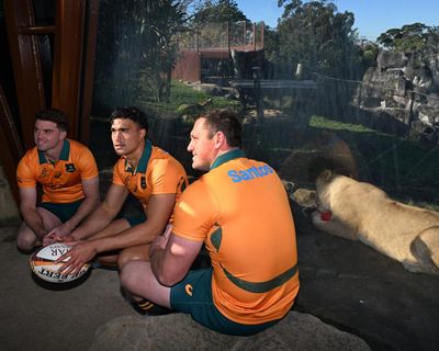 The 2025 Next Gen Wallabies sense Farrell’s Lions are there for the taking