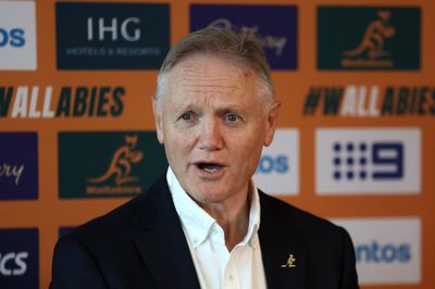 Joe Schmidt hits back at British and Irish Lions over demands to release Australia stars for tour games