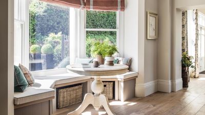You can easily grow these 5 houseplants outdoors, according to experts – for an instant tropical summer garden