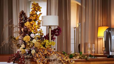 6 Types of Orchids You Should Grow as Houseplants If You've Got a Stylish Home — Number 4 Is My Favorite for a Pretty, Floral Flourish
