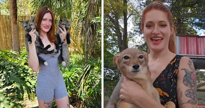 Woman Who Spent Years Rescuing Exotic Animals Takes Her Own Life At 29 After Being Bullied Online