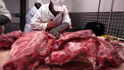 French authorities open judicial inquiry into food poisoning of children