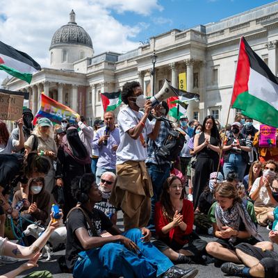 Palestine Action, a Pro-Palestinian Activist Group, Has Been Declared a Terrorist Organisation