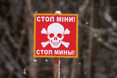UK commitment to landmine ban ‘unwavering’ says minister as allies exit