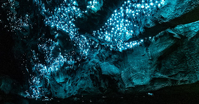 21 Of The Most Amazing Places To Visit In New Zealand